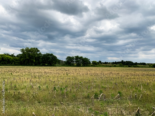 Blue cloudy sky over green landscape 