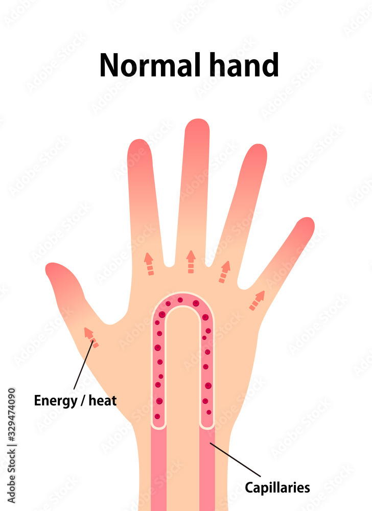 Normal hand blood circulation illustration - obrazy, fototapety, plakaty 