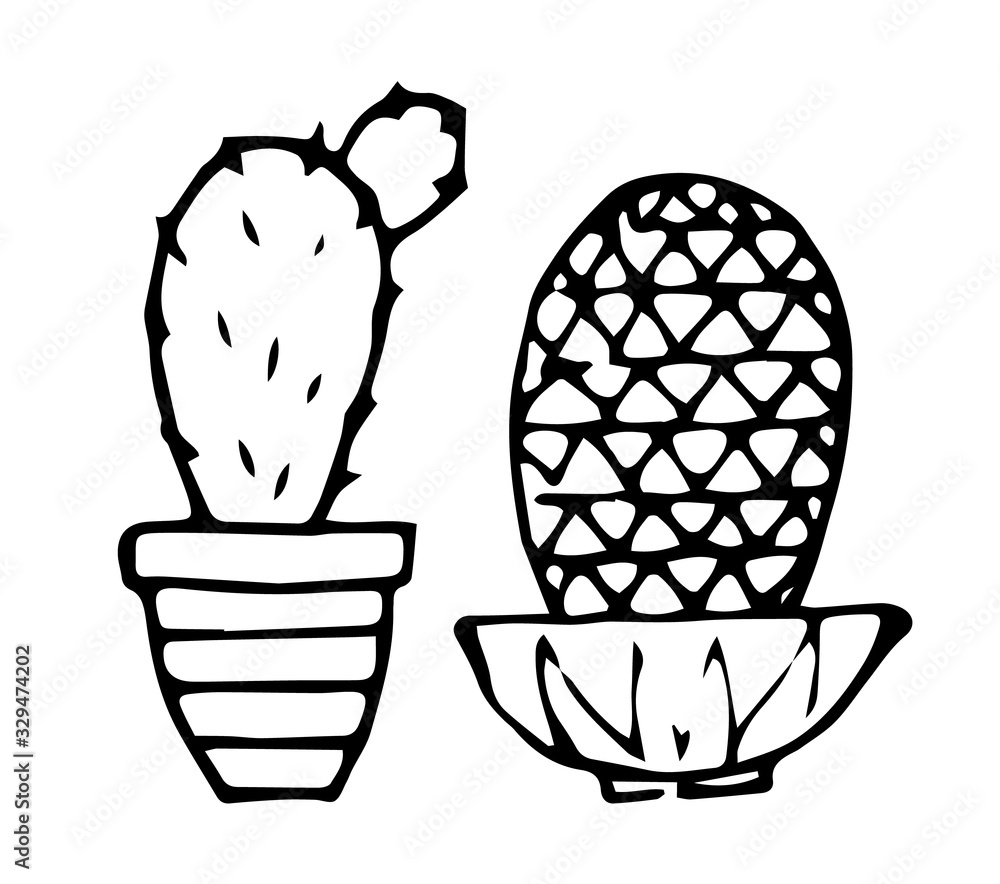 Two cacti in hand drawn style. Black outline. Isolated on a white background. Vector illustration. Two cacti in hand drawn style. Black outline. Isolated on a white background. Vector illustration.