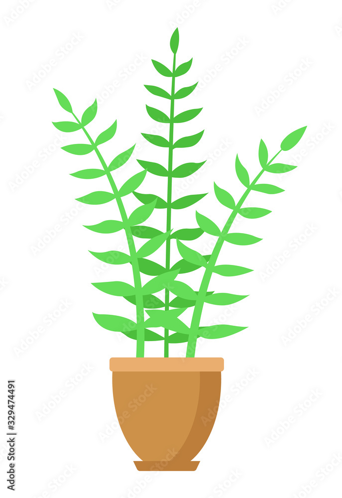 Fototapeta premium ZZ plant. Potted plant. Flat design. Isolated on a white background. Vector illustration.