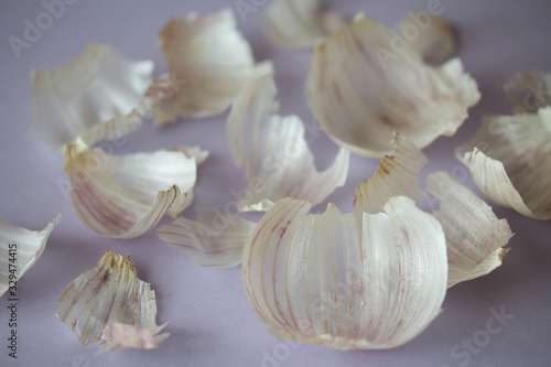 Garlic skin on soft purple background. Close up of seasonal vegetable peels. Cosmetics and treatment natural ingredient. Harvesting background