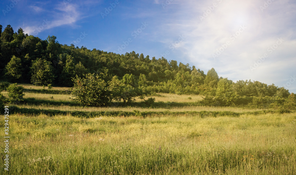 Small hill with trees and meadow in eastern Serbia during a hot summer day.