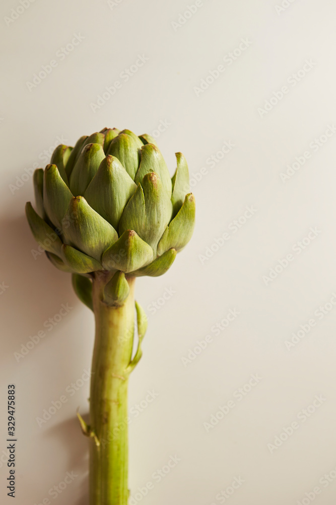 Fototapeta premium artichoke on white background