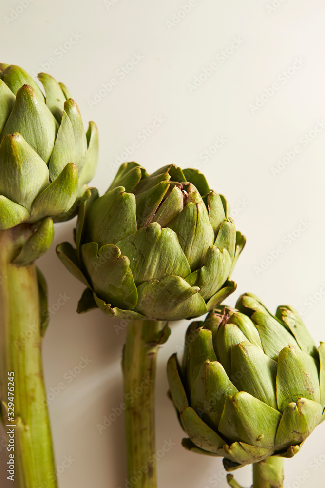 Obraz premium artichoke on white background