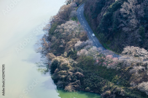 奈良市月ヶ瀬の展望台からの眺め　早春　梅　 © Rummy & Rummy