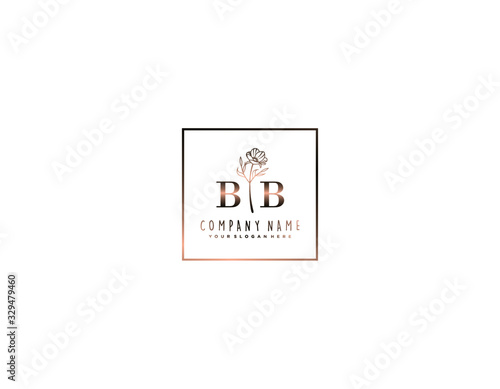 Letter BB handwrititing logo with a beautiful template