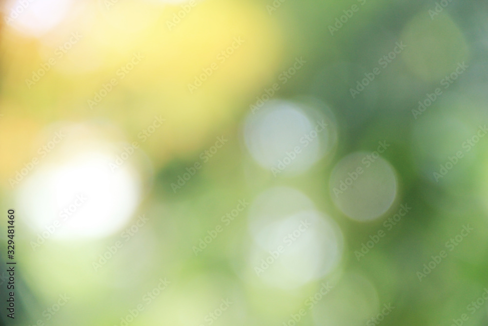 Obraz premium miękkie rozmycie roślin bokeh w ogrodzie