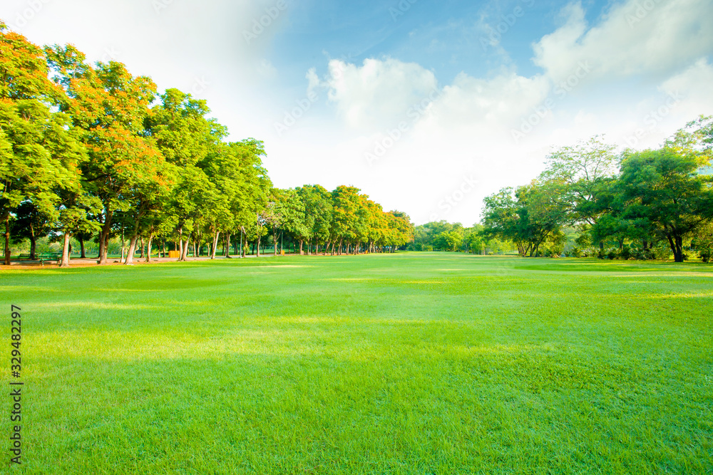 green lawn in open public park green lawn in open public park