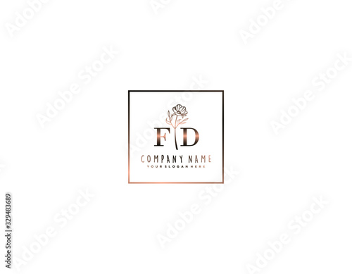 Letter FD handwrititing logo with a beautiful template photo