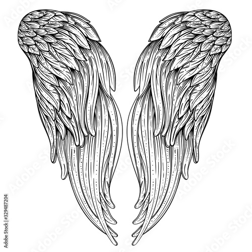 Angels wings. Ornamental baroque style element. Vector illustration. Tattoo template. Trendy hand drawn antique symbol collection. Vintage design elements.
