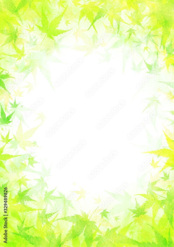 青もみじの背景 青もみじの背景