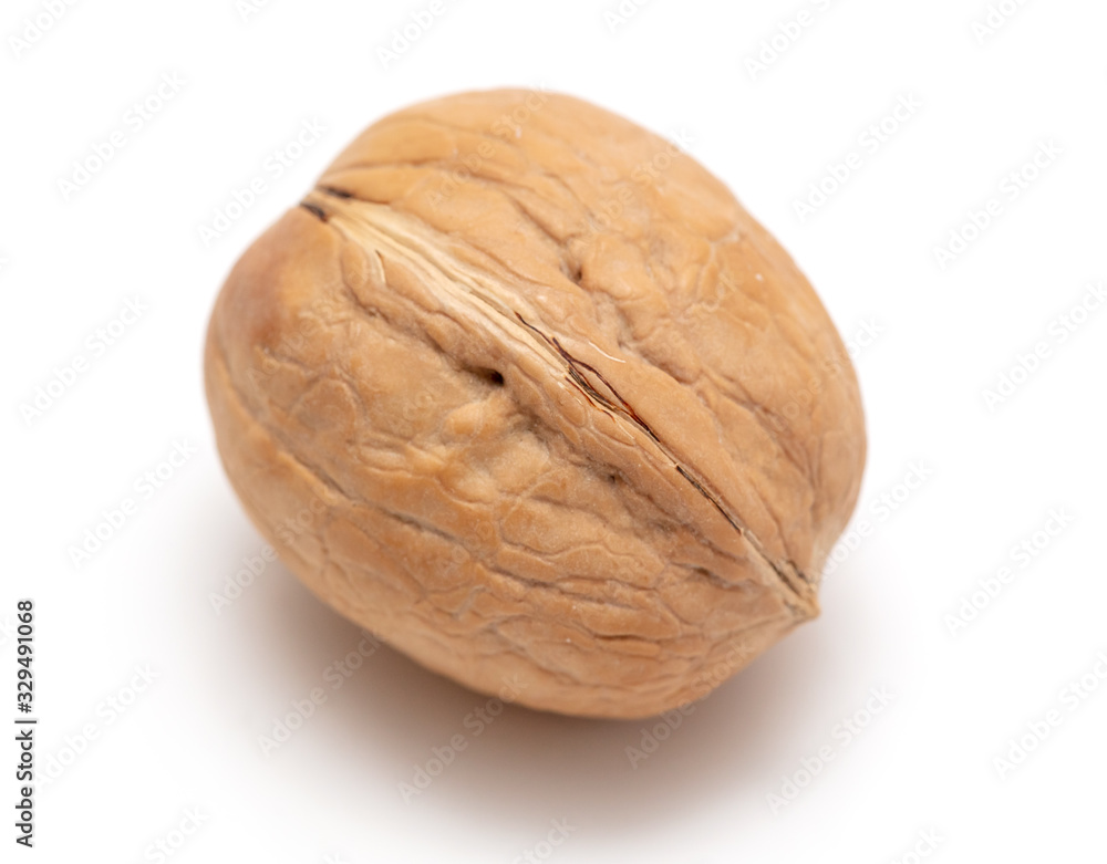 Walnut isolated on a white background Walnut isolated on a white background