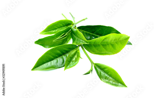 Green tea leaves isolated on white background