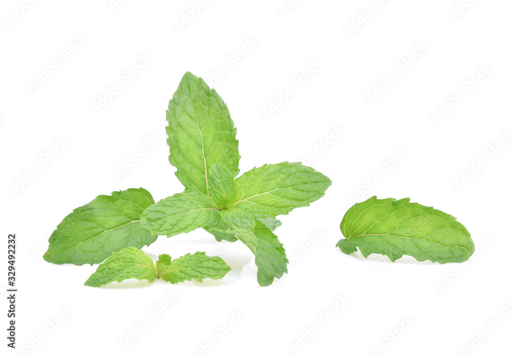 Mint leaves isolated on white background. Mint leaves isolated on white background.
