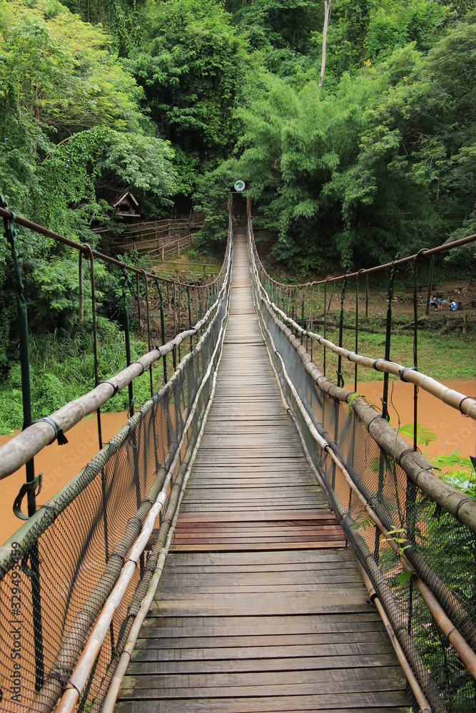 bridge over the river in the forest