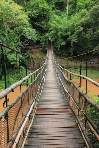 bridge over the river in the forest