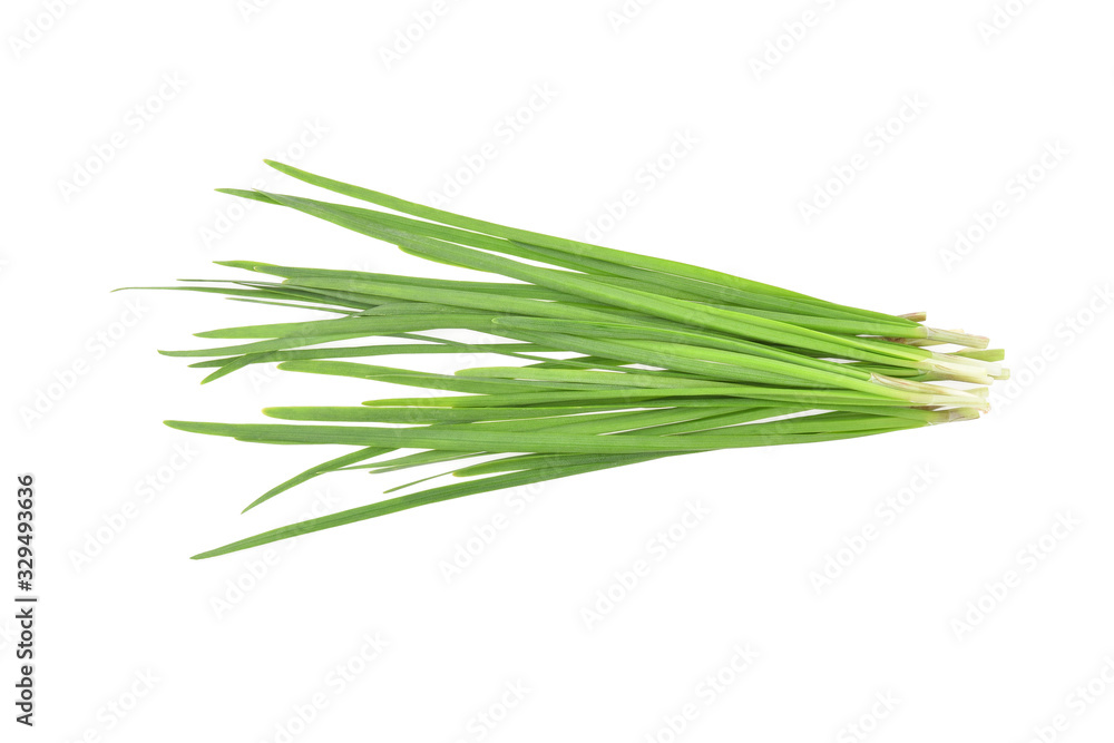 Top view of Garlic chives isolated on white background Top view of Garlic chives isolated on white background