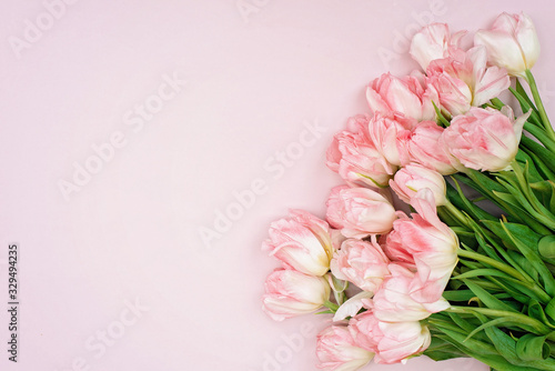 Spring greeting card template of fresh flowers of pink tulips for Mother's Day, Birthday, Easter, Women's Day. Copy space. Soft selective focus.