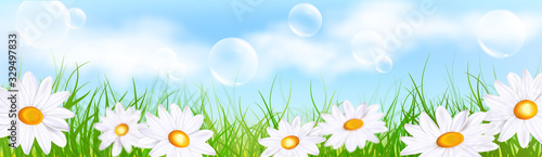 Daisy