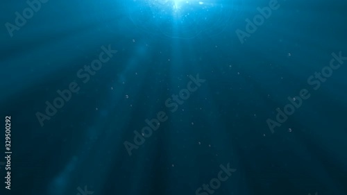 穏やかな水の中