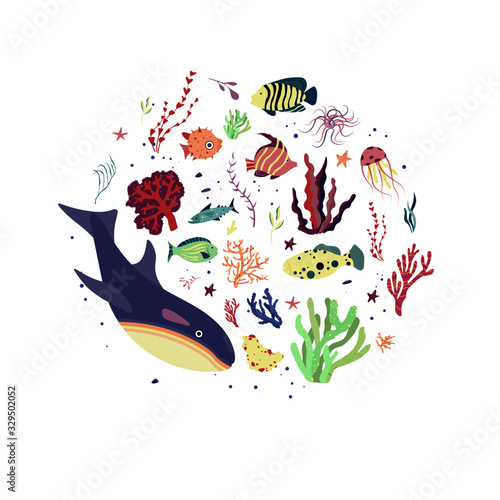 Underwater sea world dwellers, flora and fauna elements. Algae, coral reef, kelp, killer whale, dolphin. Vector cartoon illustration.	