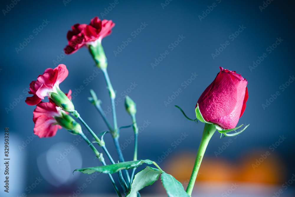 Obraz premium Red roses flowers in vase.