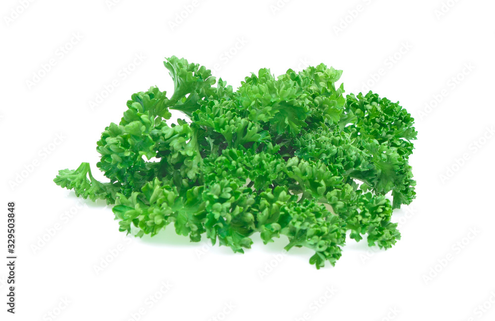 Fresh green leaves of pasley isolated on white background. Fresh green leaves of pasley isolated on white background.