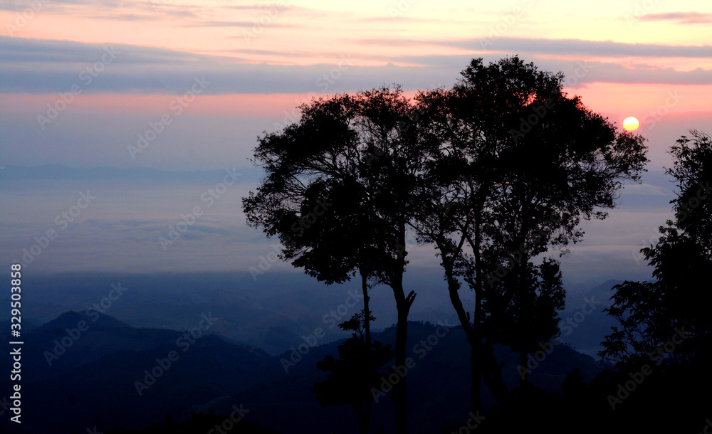 Fototapeta premium Sunset silhouettes in winter, Tree and mountain sunset background.