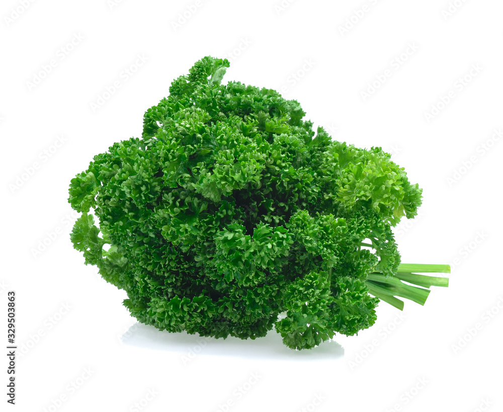 Fresh green leaves of pasley isolated on white background. Fresh green leaves of pasley isolated on white background.
