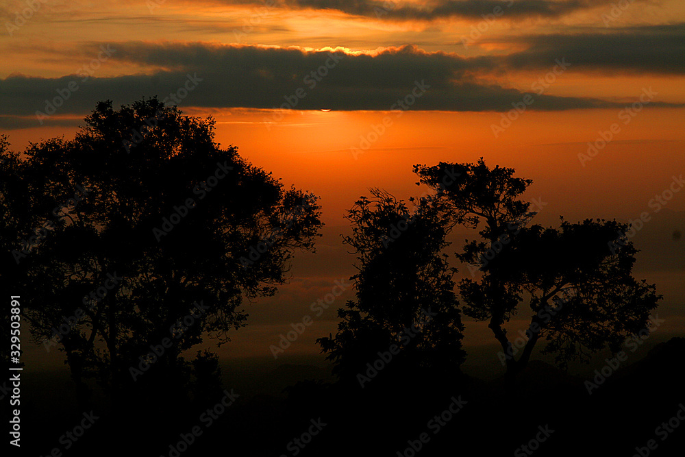 Sunset silhouettes in winter, Tree and mountain sunset background.