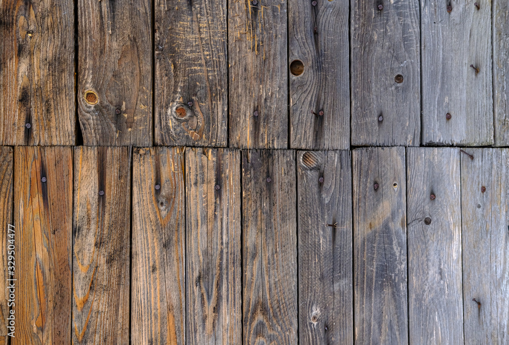 Fototapeta premium Backgrounds and textures natural wood