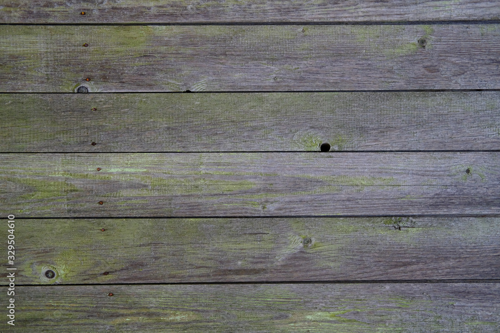 Fototapeta premium Backgrounds and textures natural wood