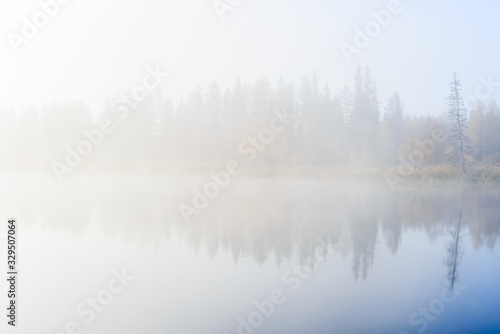 Tree reflected on lake at misty morning, Sweden.