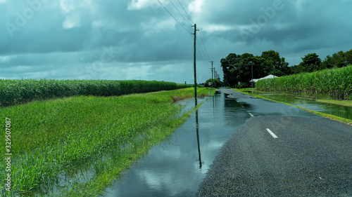 Картината върху платно Heavy Rainfall Causes Sugar Cane Field To Flood