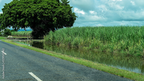 Foto Heavy Rainfall Causes Sugar Cane Field To Flood