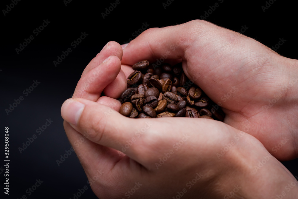 Coffee beans in the hands of a man on a dark background, close-up of bean picking Coffee beans in the hands of a man on a dark background, close-up of bean picking