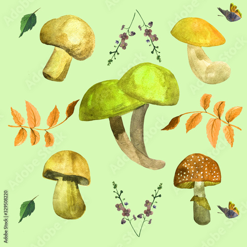 group of mushrooms