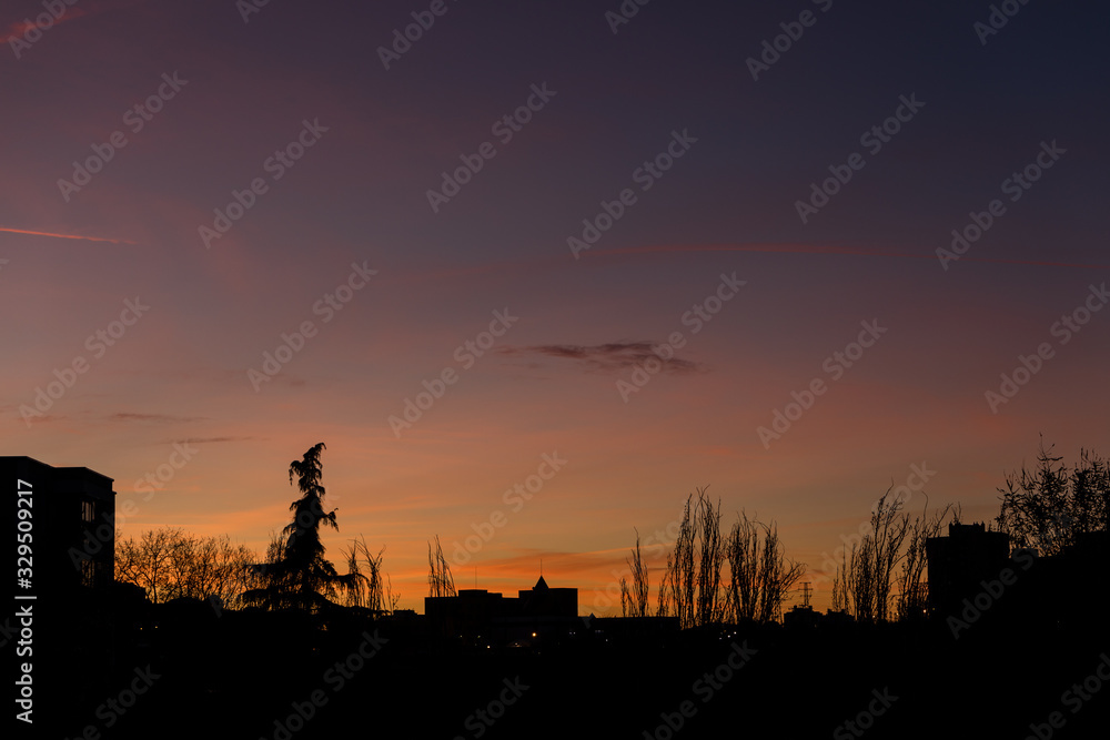 Silhouette of trees and buildings at sunset in Madrid