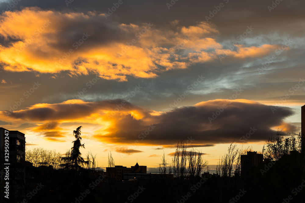 Silhouette of trees and buildings at sunset in Madrid Silhouette of trees and buildings at sunset in Madrid