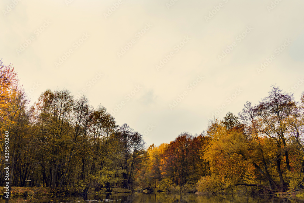 Autumn landscape in the forest, beautiful trees with yellowed leaves Autumn landscape in the forest, beautiful trees with yellowed leaves