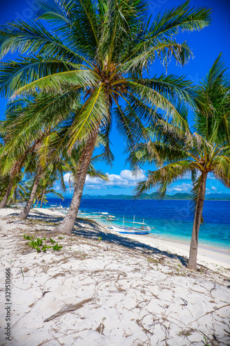 Fototapeta Naklejka Na Ścianę i Meble -  Palms trees on the beach of Black (Malajon) island, Coron, Philippines. White sand and blue sky.