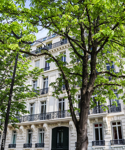 Wallpaper Mural Architecture of Paris France. Facades of a traditional apartment buildings Torontodigital.ca