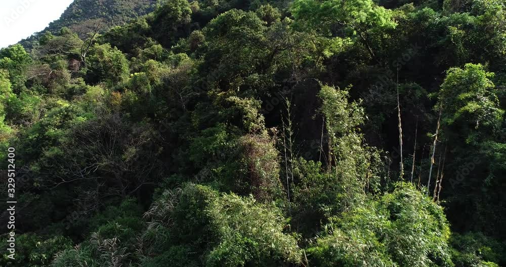Drone aerial view of green forest from top Drone aerial view of green forest from top