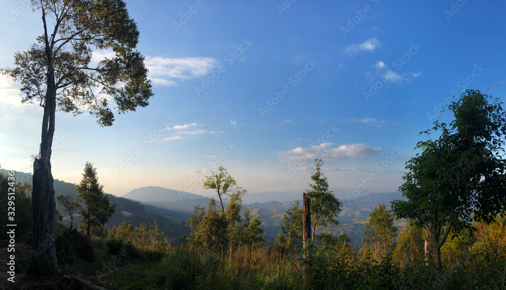 panorama view of mountain , blue sky, white clouds, and big tree. Relaxing on forest Natural scene.