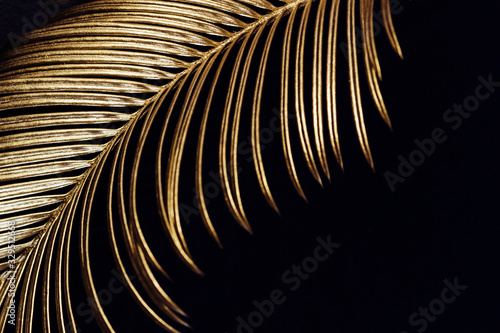 Painted Golden tropical leaves on black background. Glamor Creative layout, a...
