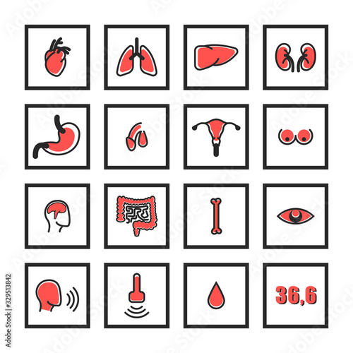Human internal organs set of icons for the clinic - heart, kidneys, liver, lungs, stomach, penis, uterus, female breast, brain, intestines, bone, eye, ultrasound, ultrasound, drop of blood.