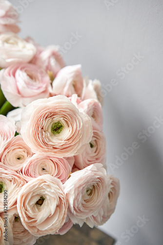 Spring background  flower Wallpaper. Persian buttercup. Bunch pale pink ranunculus flowers on light gray background. Vase on vintage wooden table. Wallpaper