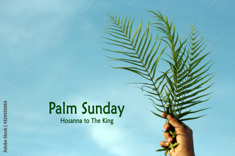 Christian inspirational quote Palm Sunday. Hosanna to The King. With