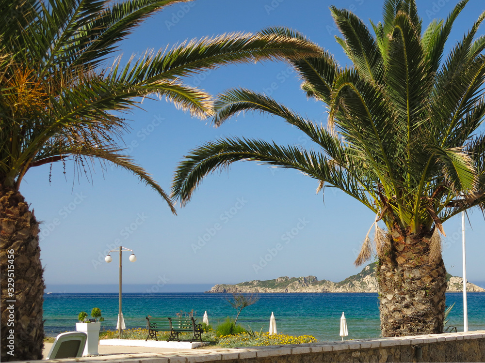 Through the palm trees at Arrillas Beach on the Greek island of Corfu