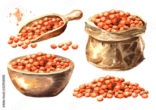 Red lentil set. Hand drawn watercolor illustration  isolated on white background photo